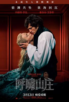 咒怨剧场版2 系列作品海报